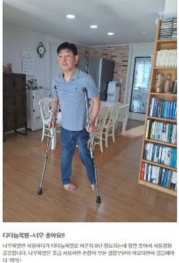 tatanium crutches review 3